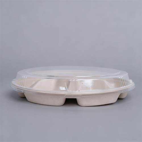 6-Compartments Food Safe Sugarcane Bagasse Pulp plate (5)