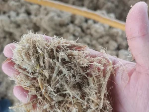 How our raw materials come from (1)