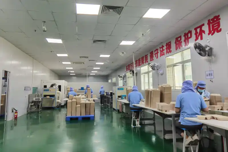 Lvluo Production line pictures (2)