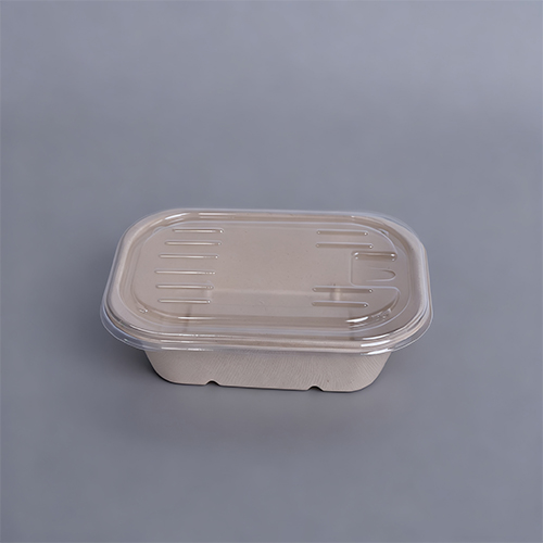500ml Square Disposable Bio Degradable Lunch Box With Plastic Lid (1)