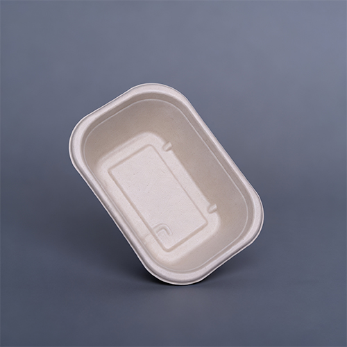 500ml Square Disposable Bio Degradable Lunch Box With Plastic Lid (4)