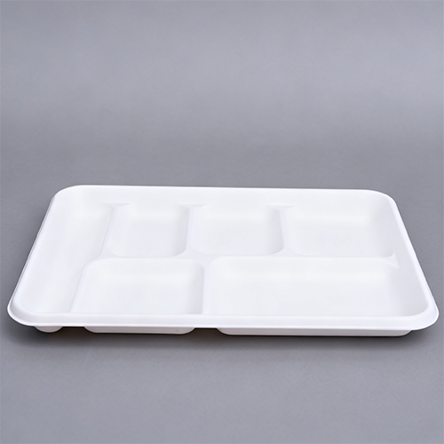 6 Section Plate Disposable Dinner Tray with Compartments Bio Pack (1)