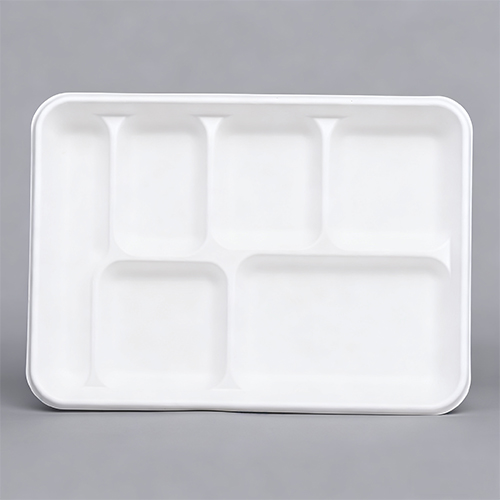 6 Section Plate Disposable Dinner Tray with Compartments Bio Pack (2)