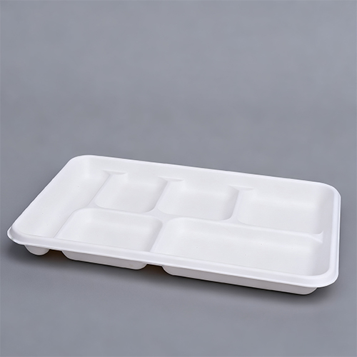 6 Section Plate Disposable Dinner Tray with Compartments Bio Pack (3)