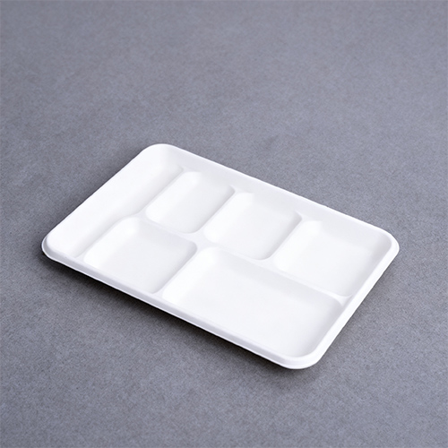 6 Section Plate Disposable Dinner Tray with Compartments Bio Pack