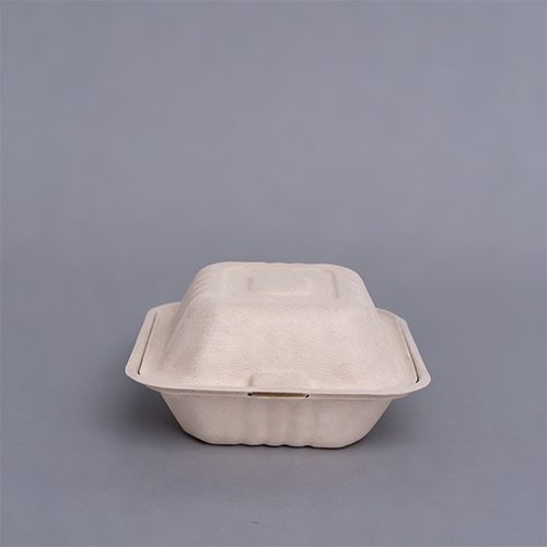 6 in. 450ml BPA Free Lunch Kit Sandwich Containers with Lids