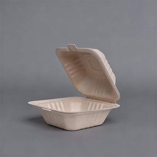 6 in. 450ml BPA Free Lunch Kit Sandwich Containers with Lids