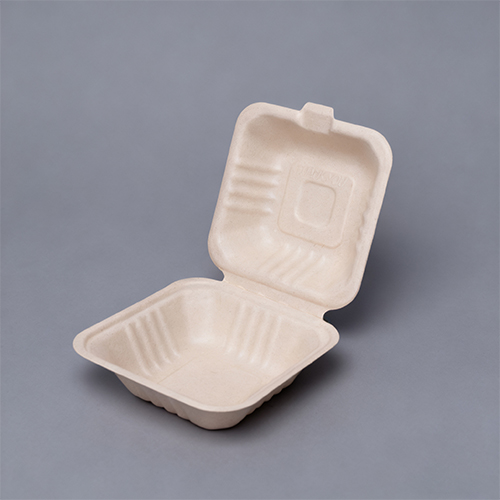 6 in. 450ml BPA Free Lunch Kit Sandwich Containers with Lids (7)