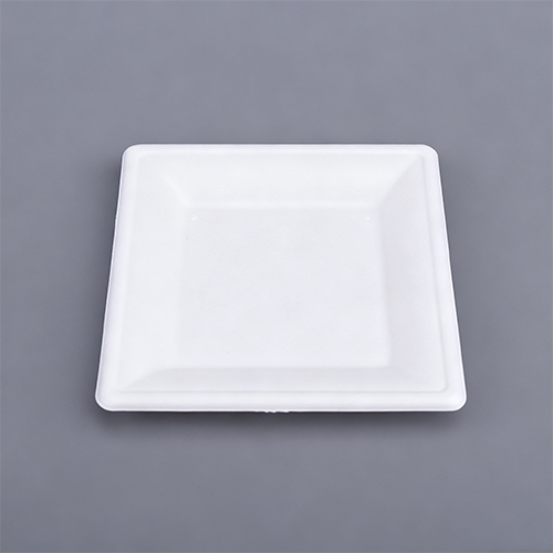 6 in. PFAS-Free Disposable Heavy Duty Square Plate Cake Plate (2)
