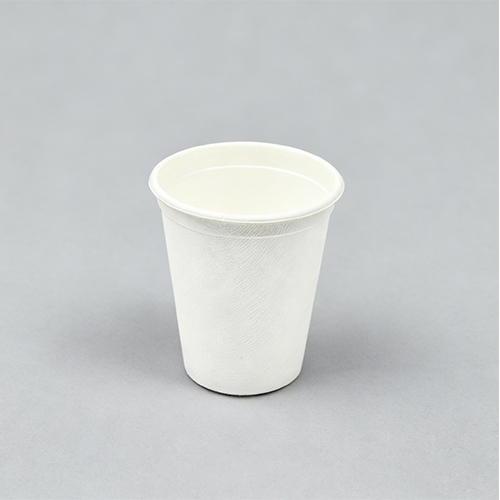 8oz 250ml Green Bagasse Coffee Cup with PP Lid Iced Coffee Cups (4)