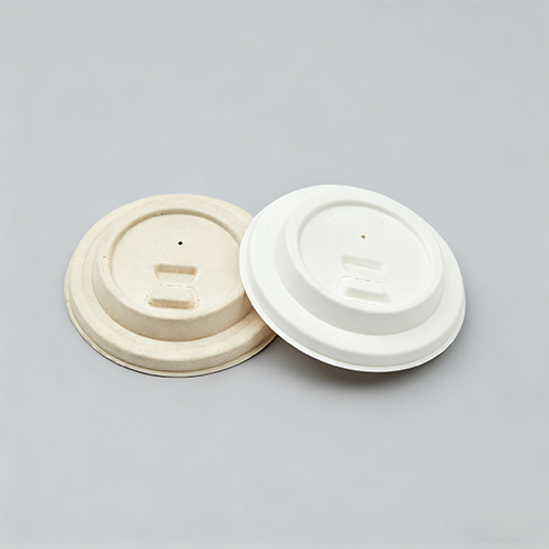 8oz 250ml Green Baggase Coffee Cup with PP Lid Iced Coffee Cups