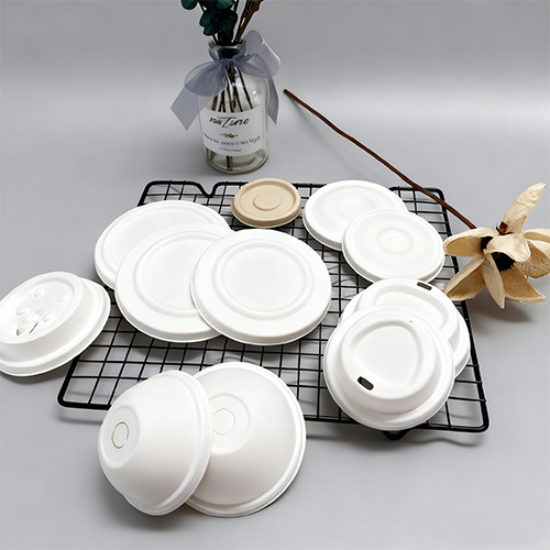 8oz 250ml Green Bagasse Coffee Cup with PP Lid Iced Coffee Cups (6)