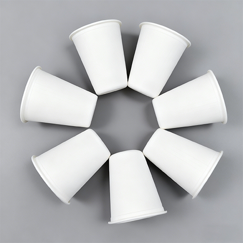 8oz 250ml Green Baggase Coffee Cup with PP Lid Iced Coffee Cups