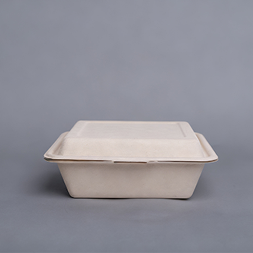 9"Clamshell Take out Food Container for Hamburger