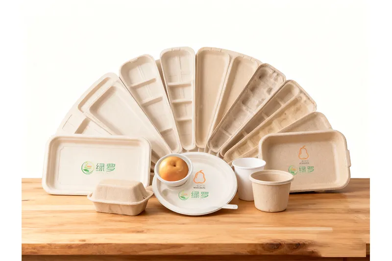 Bagasse Customisation Branding