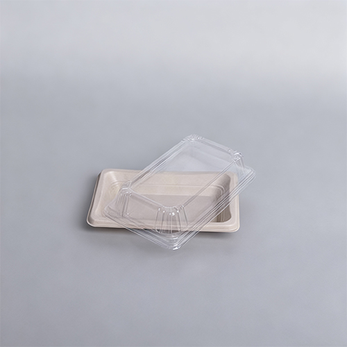 Compostable Tableware Bagasse Sushi Tray Meal Tray with Clear Lid