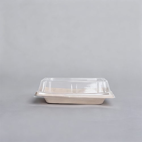 Compostable Tableware Bagasse Sushi Tray Meal Tray with Clear Lid (11)