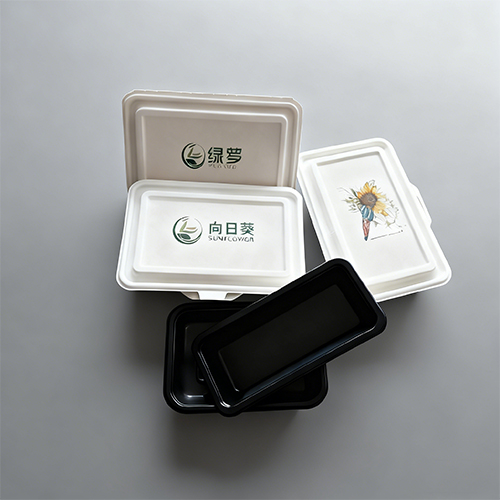 Customization Logo Eco-friendly Dishware Meal Prep Containers
