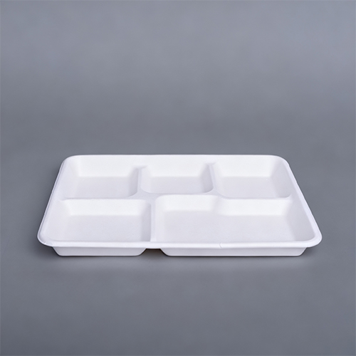 Disposable plate with partitions 5 Compartment Dishware Tray