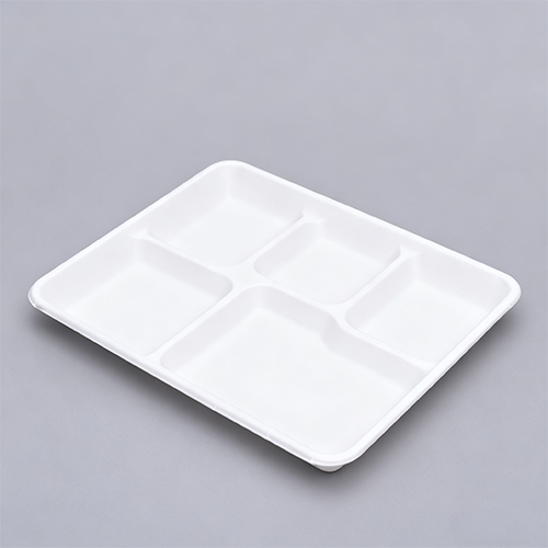 Disposable plate with partitions 5 Compartment Dishware Tray (2)