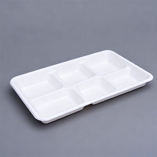Disposable plate with partitions 5 Compartment Dishware Tray (3)