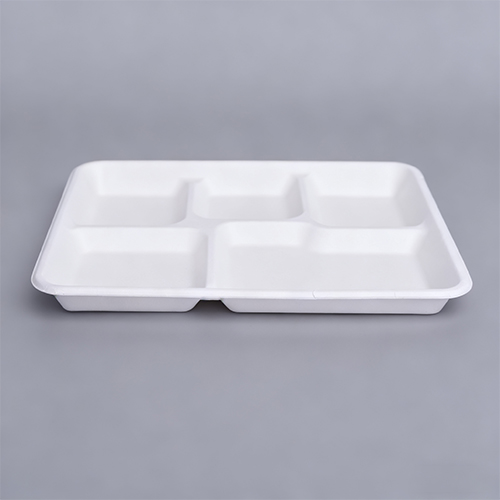 Disposable plate with partitions 5 Compartment Dishware Tray (4)