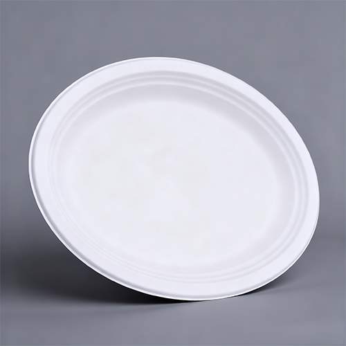 OK Compost Home Disposable Big Round Tray Party Plate (1)