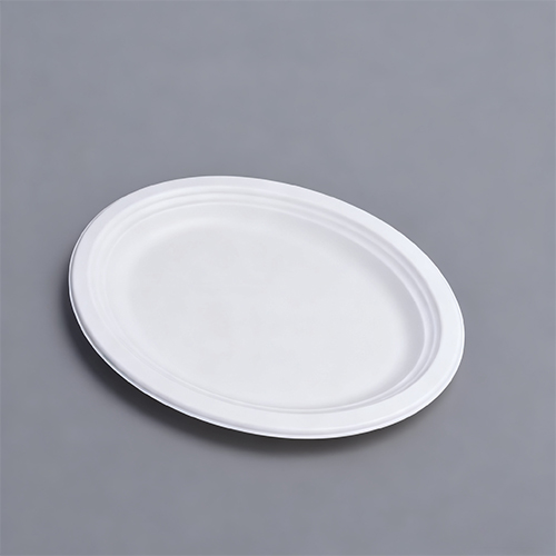 OK Compost Home Disposable Big Round Tray Party Plate