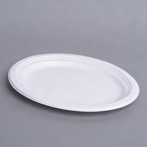 OK Compost Home Disposable Big Round Tray Party Plate