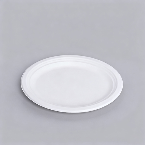 OK Compost Home Disposable Big Round Tray Party Plate (4)