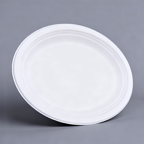 OK Compost Home Eco fiber Small Oval Dinnerware Plate Party Tray (3)