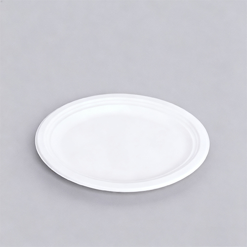 OK Compost Home Eco fiber Small Oval Dinnerware Plate Party Tray
