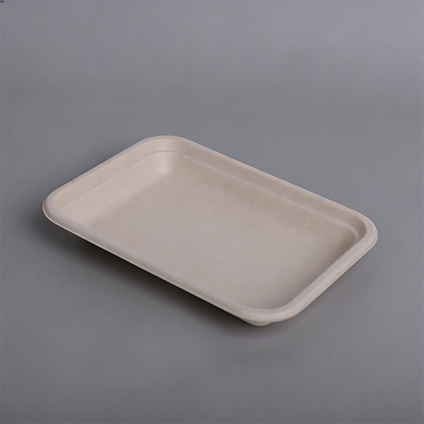 Rectangle Fruit Vegetable Platter Fruit Serving Plates Meat Tray