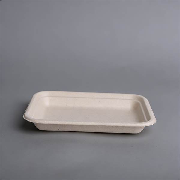 Rectangle Fruit Vegetable Platter Fruit Serving Plates Meat Tray