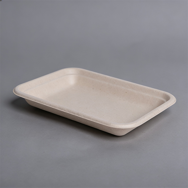 Rectangle Fruit Vegetable Platter Fruit Serving Plates Meat Tray