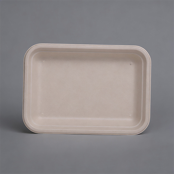 Rectangle Fruit Vegetable Platter Fruit Serving Plates Meat Tray